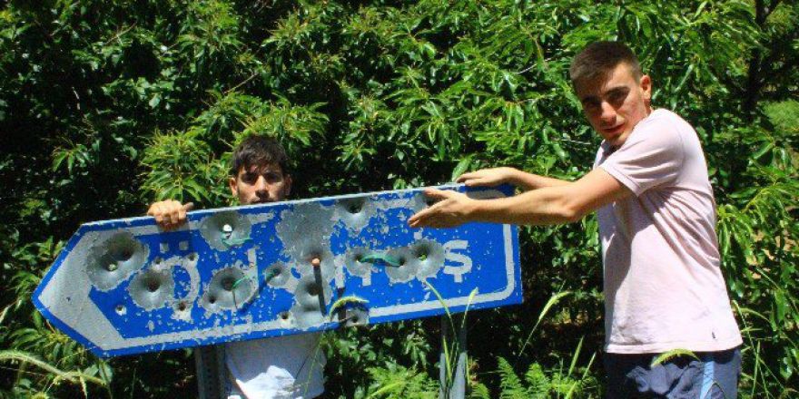 Karayolları Tabelaları Hedef Tahtası Oldu