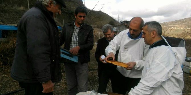 Tunceli’deki Arı Ölümleri İnceleniyor