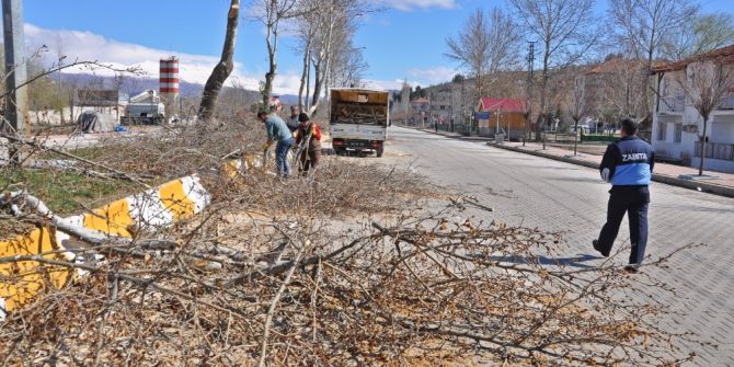 Gölbaşı İlçesinde Ağaç Budamaları Devam Ediyor