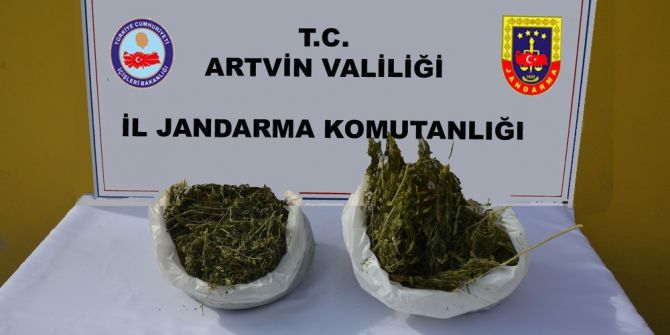 Artvin’de Jandarmadan Uyuşturucu Operasyonu
