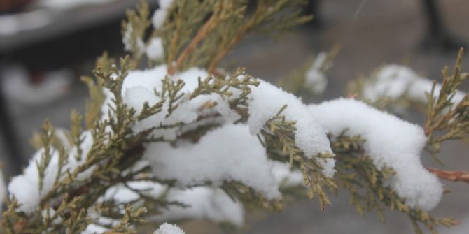 Ağrı’da Kar Yağışı Devam Ediyor