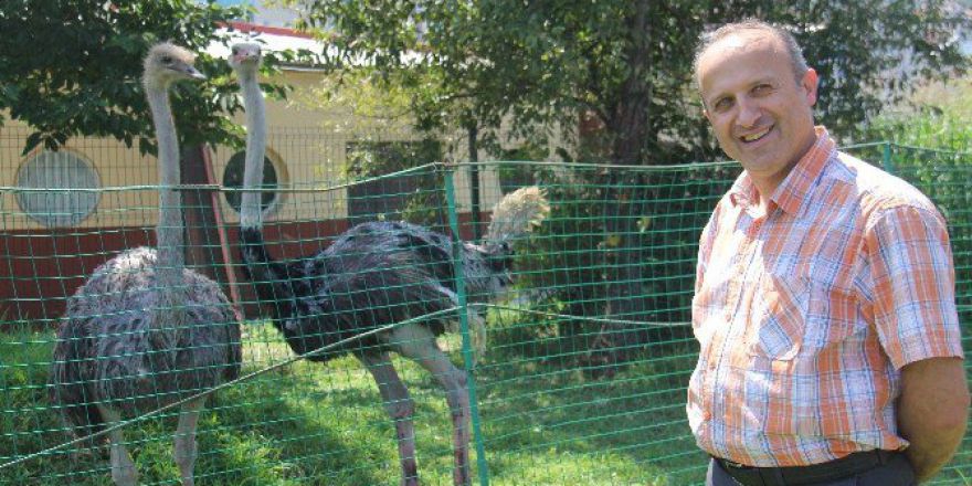 İtfaiye Bahçesinde Deve Kuşu Besliyor