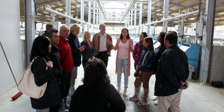 Hollanda’da Süt Toplantısına Katılan Aydın Heyeti Yurda Döndü