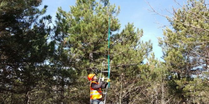 Gölyaka’da Çam Kese Böceği İle Mücadele Çalışmaları Devam Ediyor