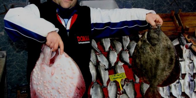 Hava Şartları Balık Fiyatlarını Olumsuz Etkiledi