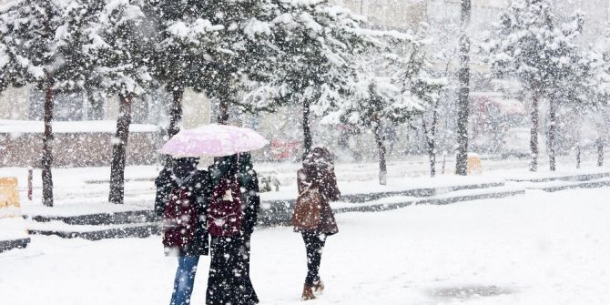 Ahlat’ta 8 Köy Yolu Ulaşıma Kapandı