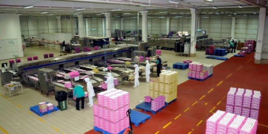 Burdan Yumurta’ya Uluslararası Ödül