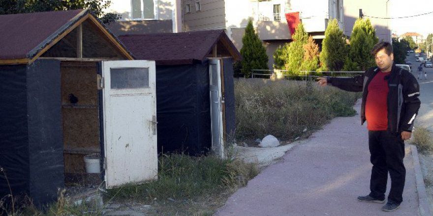 5 Bin Lira Değerindeki Güvercinleri Çaldılar