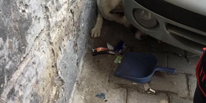 Otomobil İle Duvar Arasında Sıkışan Köpek Kurtarıldı