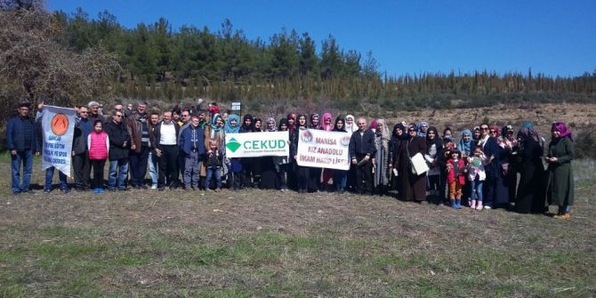 253 Bin Şehide 253 Fidan