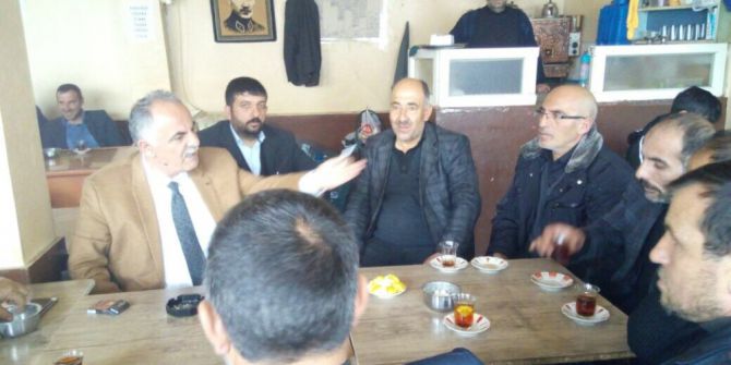 Horasan’da Aydın, Dolu Dizgin