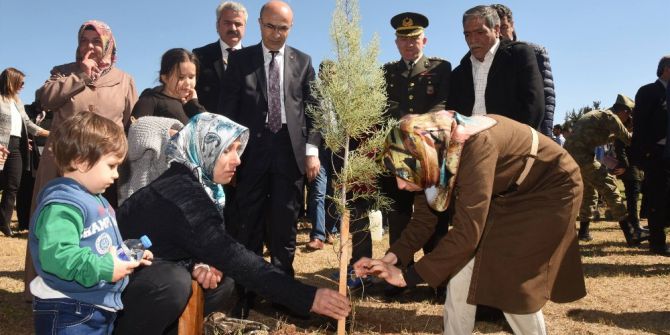 Şehitler Adına Dikilen Fidanlara, Ailelerin Gözyaşları Can Suyu Oldu