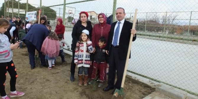 Burhaniyeli Öğrencilerin Dikili Ağacı Oldu