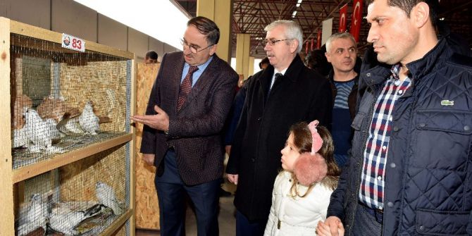 Bursa’da 2 Bin Güvencin En Güzel Seçilebilmek İçin Yarıştı