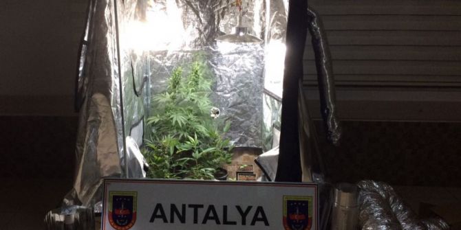 Antalya’da ’Skunk’a Jandarma Baskını