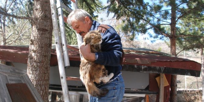 Tokat’ta Vatandaşın Kedi Kurtarma Operasyonu