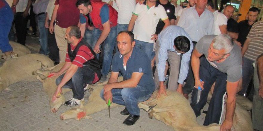 Hisarcık’ta 26 Şükür Kurbanı Kesildi
