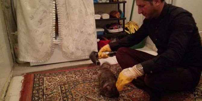 Tüylerine Yapıştırıcı Sürülen Kediye Duyarlı Vatandaş Sahip Çıktı