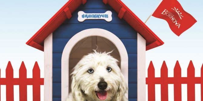 O Alışveriş Merkezinde Köpeklere Özel Alan