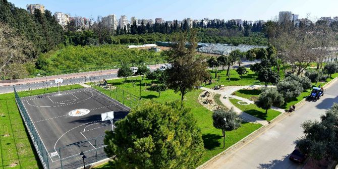 Antalya’da En Güzel Ağaç Seçiliyor