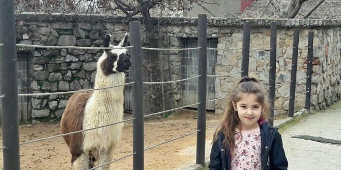 Darıca Hayvanat Bahçesi Abhaz Çocukları Ağırladı