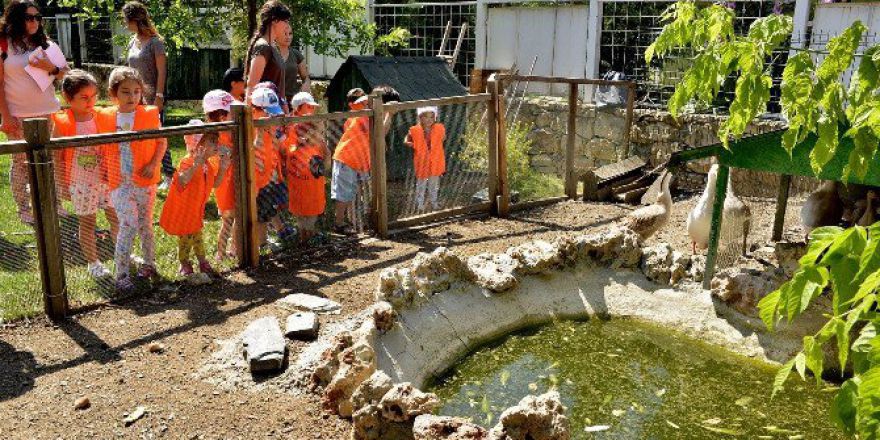 Minik Öğrenciler Tepebaşı Belediyesi Doğal Yaşam Merkezi’ni Ziyaret Etti