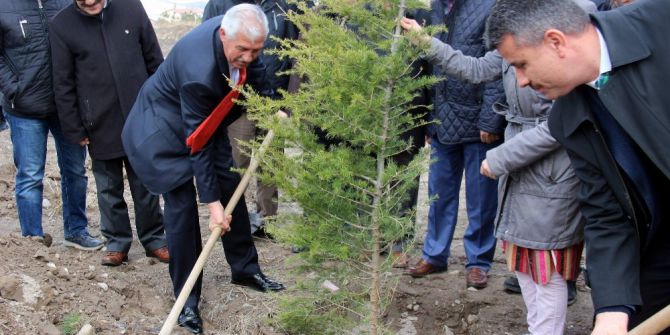 Orman Haftası’nda 12 Bin Fidan Dikildi