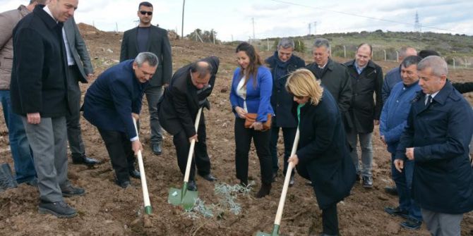 Ezine Myo’dan 25. Yıl Hatıra Ormanı