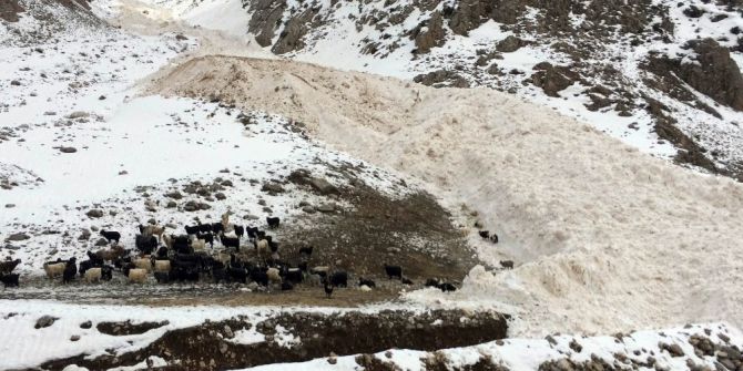 Van-çatak Yoluna Düşen Çığ Temizleniyor