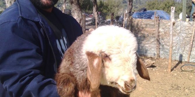 Eski Hükümlü, Cumhuriyet Başsavcılığı’nın Desteğiyle Hayata Yeniden Tutundu