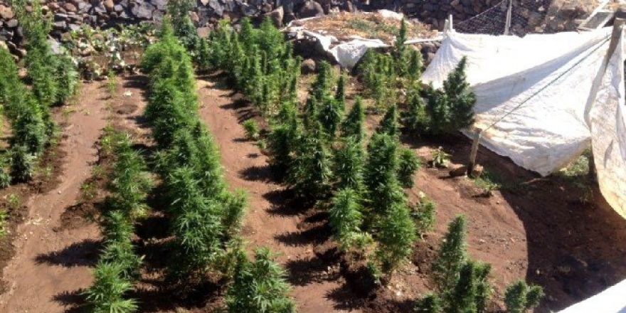 Diyarbakır’da Yüklü Miktarda Uyuşturucu Ele Geçirildi