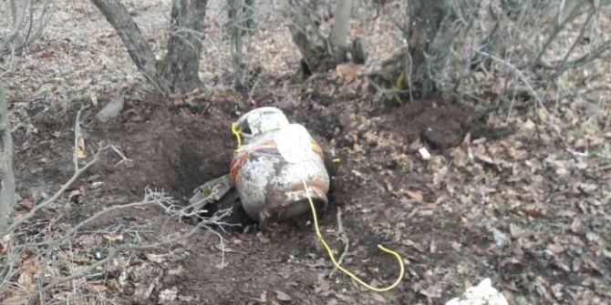 Bitlis’te Bir Adet Eyp İmha Edildi