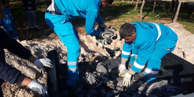 Şanlıurfa’da Kuş Ölümleri Halkı Tedirgin Ediyor