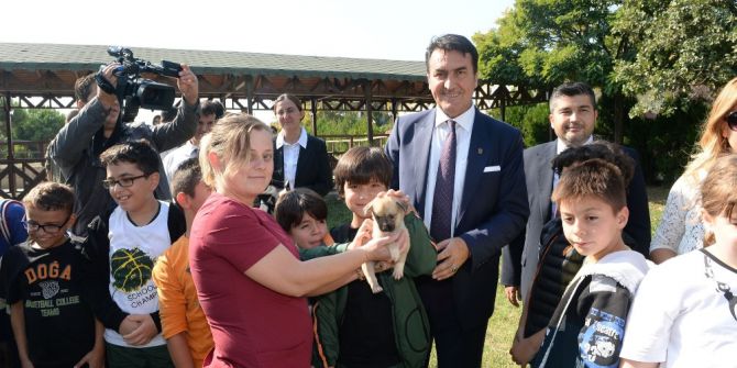 Osmangazi Belediyesi 2 Ayda 926 Hayvana Sahip Çıktı
