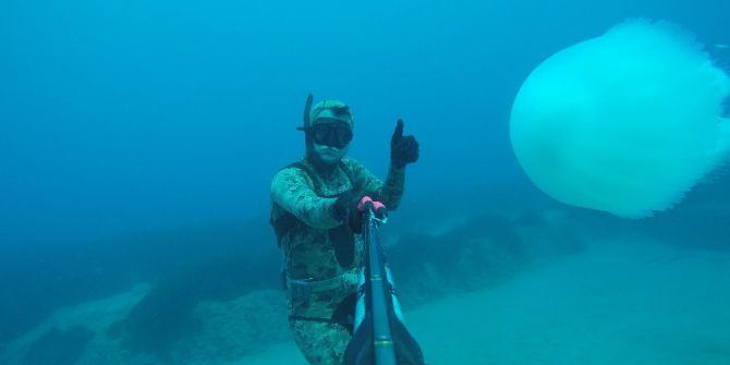 - Akdeniz’de Dev Deniz Analarının Göçü