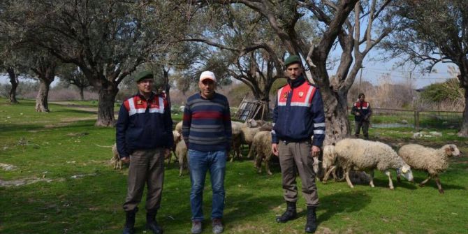 Hayvan Hırsızları Suçüstü Yakalandı