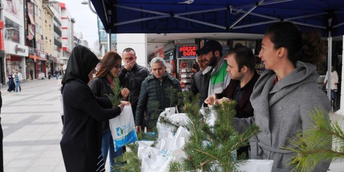 İzmit Belediyesi Vatandaşlara 20 Bin Fidan Dağıtacak