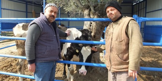 Burhaniyeli Kahveci Halo Süt Servisi Kurdu