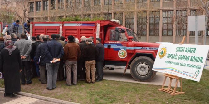 Orman Bölge Müdürlüğü’nden 6 Bin Fidan