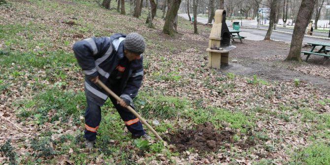 Akyazı Orman Park Meyve Ağaçları İle Donatıldı