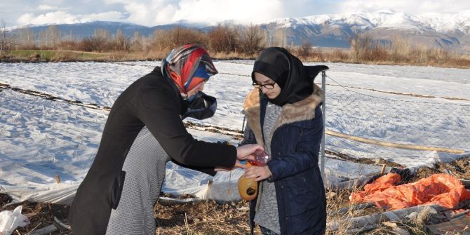 Lise Öğrencisi Atık Maddeler İle Tarımsal Bitkilerin Donmamasını Sağlayan Solüsyon Geliştirdi