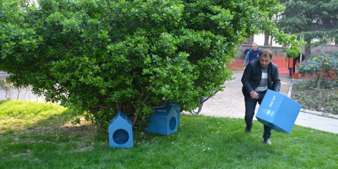 Şehzadeler’den Sokak Hayvanları İçin Yeni Proje