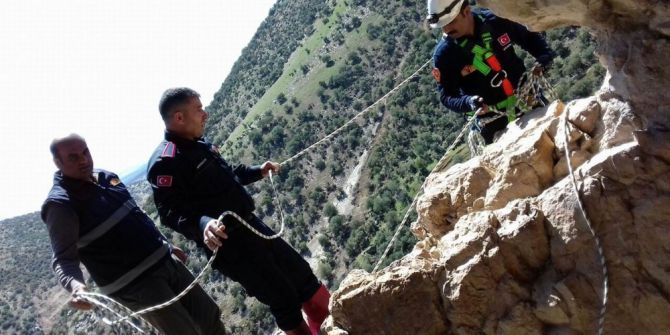 Uçurumda Mahsur Kalan 2 Keçi İtfaiye Tarafından Kurtarıldı
