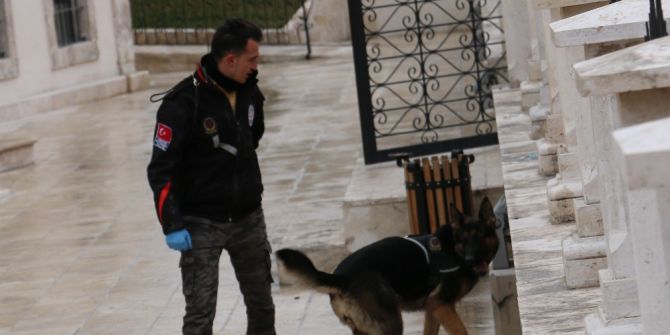 Sivas’ta Baharın Müjdesi ‘Nevruz Bayramı’ Soğuk Ve Hafif Kar Yağışlı Havada Kutlandı.