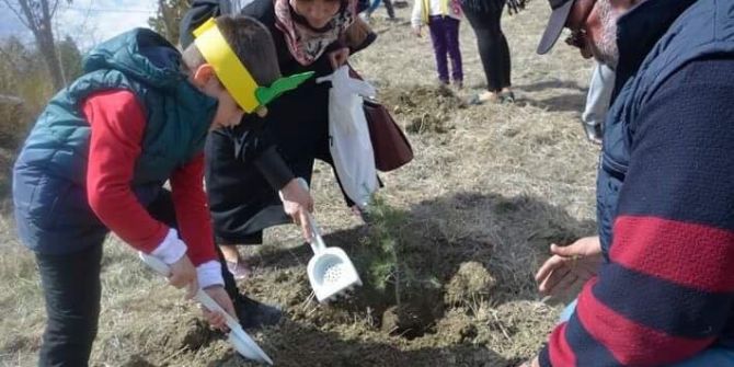 Sungurlu’da Minik Öğrenciler Fidan Dikti