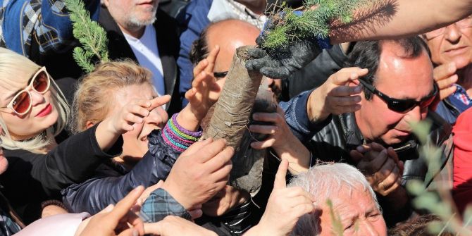 Bodrum’da Fidan İzdihamı