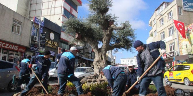 Kilis’te Kavşak Park Ve Refüjlere Çiçek Ekimi Sürüyor