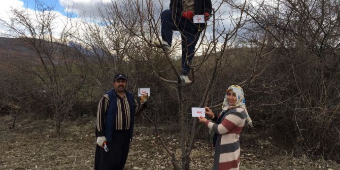 Ak Parti Kadın Kolları ‘Evet’ İçin Yollarda