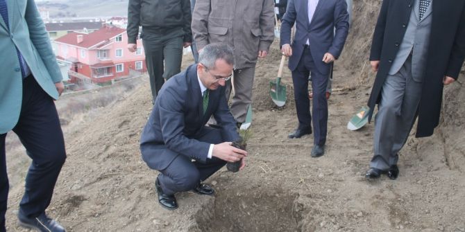 Tosya’da Ormancılık Haftası Fidan Dikilerek Kutlandı