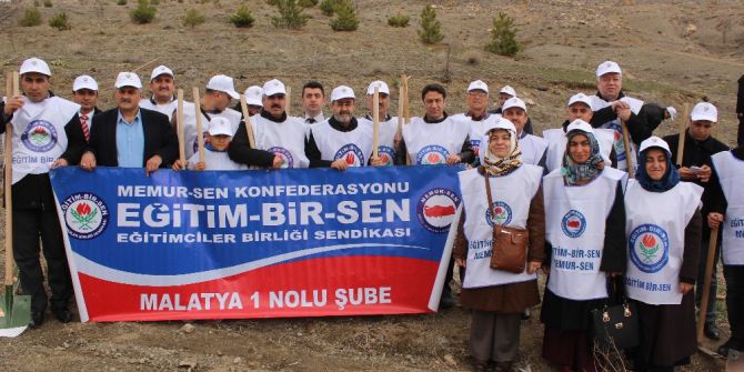 21-26 Mart Orman Haftası